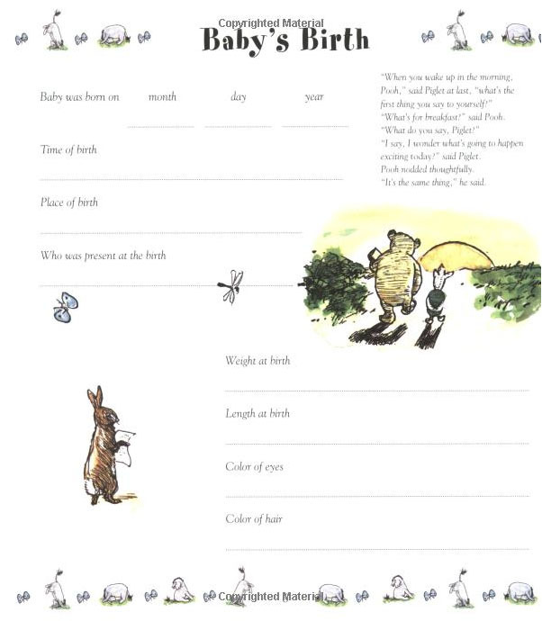 Winnie the Pooh Baby Days - Record Book image