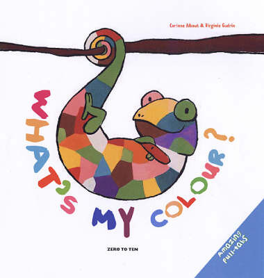 What's My Colour? by Corinne Albaut image