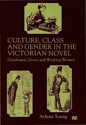 Culture, Class and Gender in the Victorian Novel on Hardback by A Young