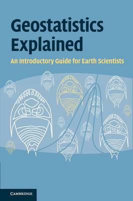 Geostatistics Explained by Steve McKillup image