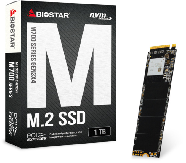 1TB BIOSTAR M700 M.2 NVMe PCIe SSD