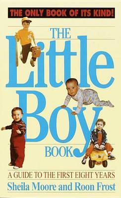 The Little Boy Book image