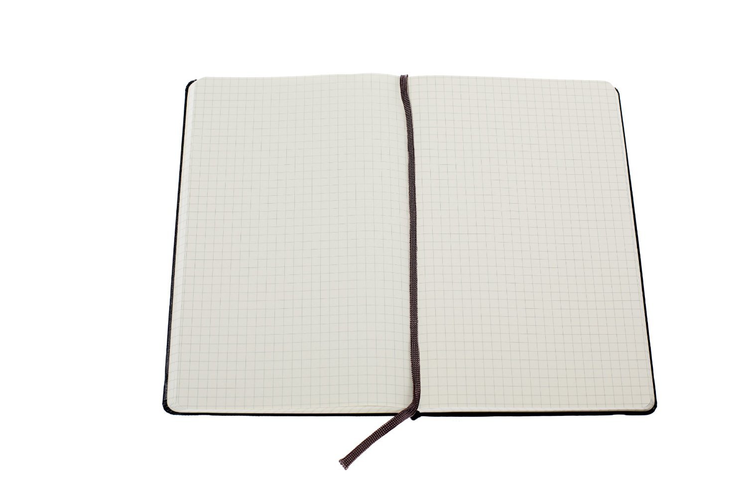 Buy Moleskine Squared Notebook (Large, Hard, Black) at Mighty Ape NZ