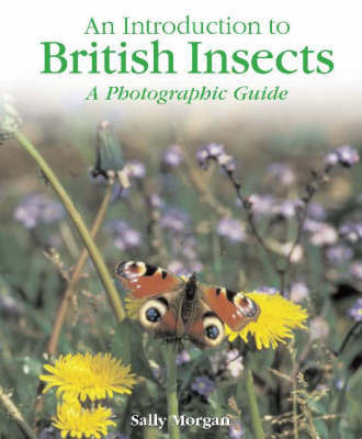 British Insects by Sally Morgan image