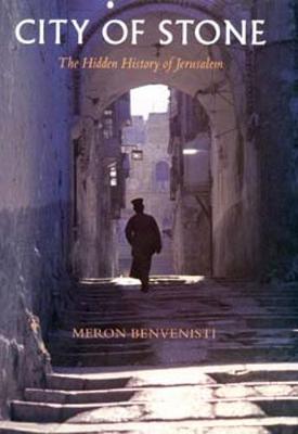 City of Stone by Meron Benvenisti image