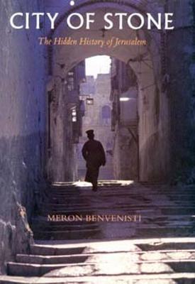 City of Stone by Meron Benvenisti