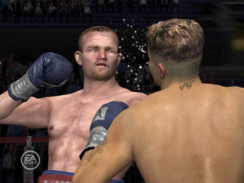 Fight Night Round 3 image