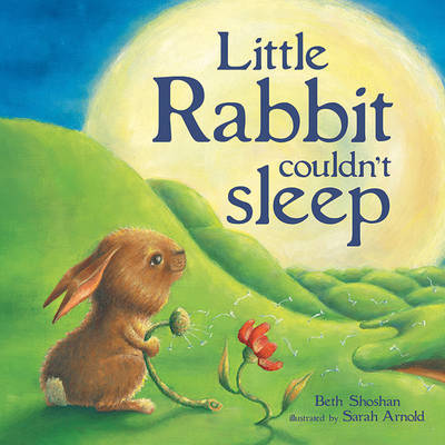 Little Rabbit Couldn't Sleep on Hardback by Beth Shoshan