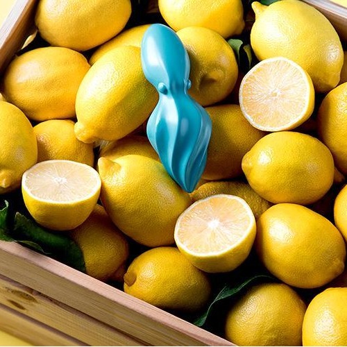 Octo - Citrus Reamer image