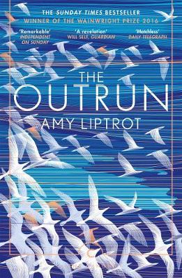 The Outrun by Amy Liptrot image