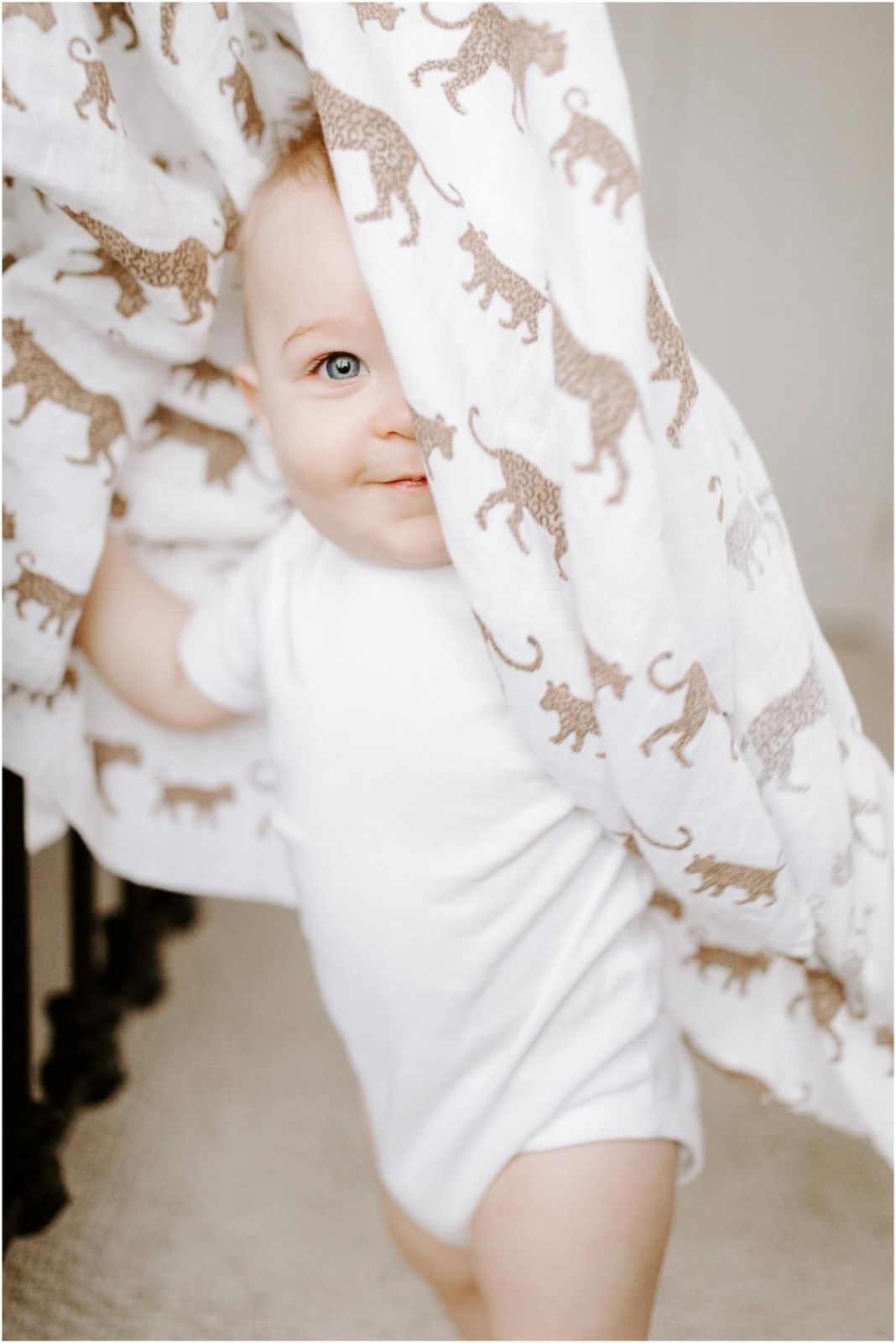 Aden + Anais: Hear Me Roar Classic Swaddles (4 Pack) image