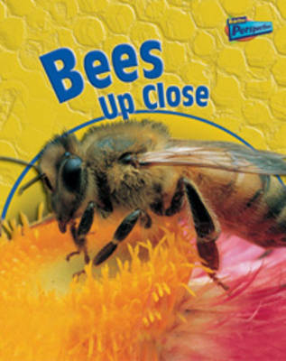 Bees Up Close by Robin Birch image