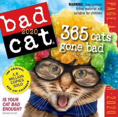 2020 Bad Cat Colour Page-A-Day Calendar by Workman Publishing image