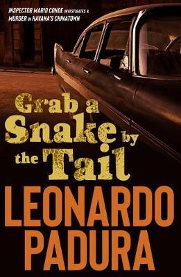 Grab a Snake by the Tail by Leonardo Padura image