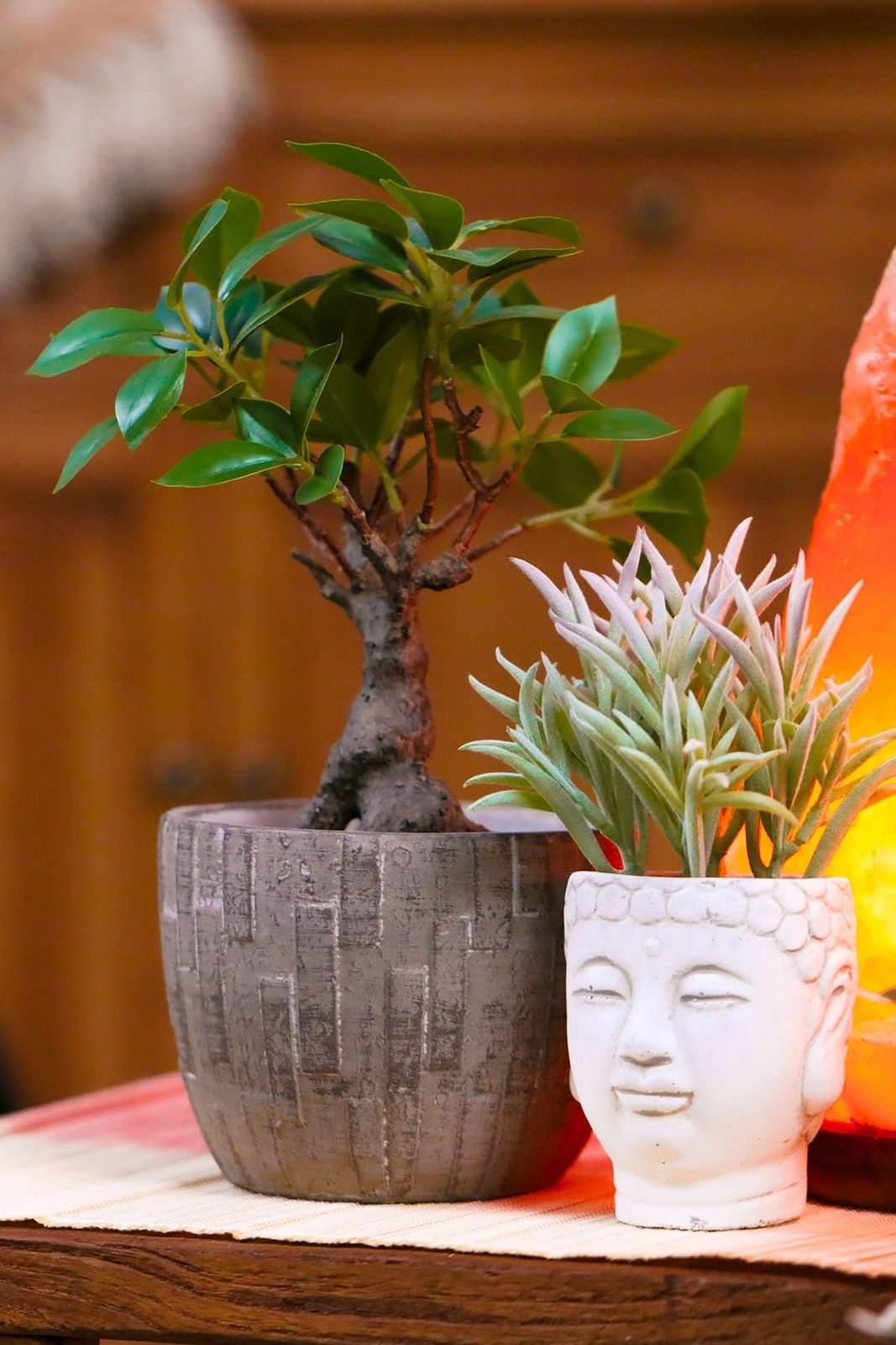 Artificial Bonsai Tree Plant Pot at Mighty Ape NZ