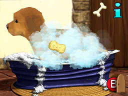 My Best Friends - Cats & Dogs for Nintendo DS image