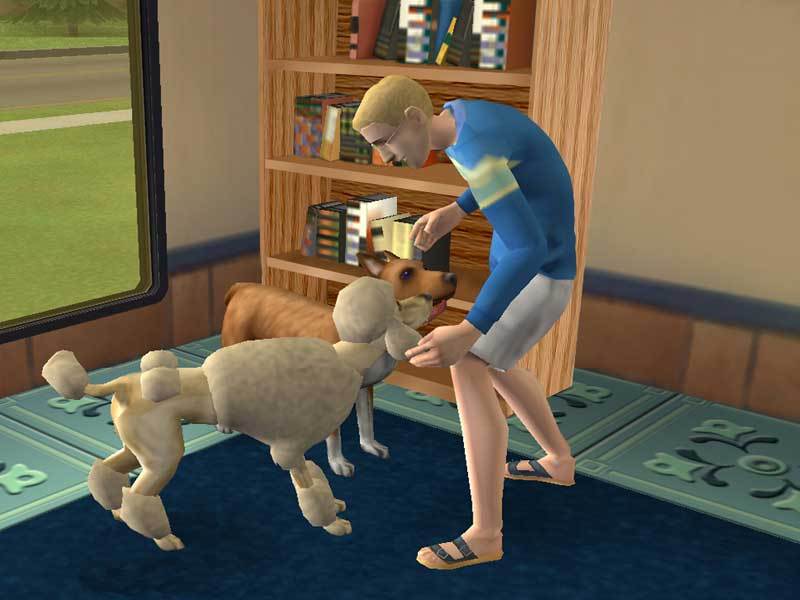 The Sims 2: Pets image