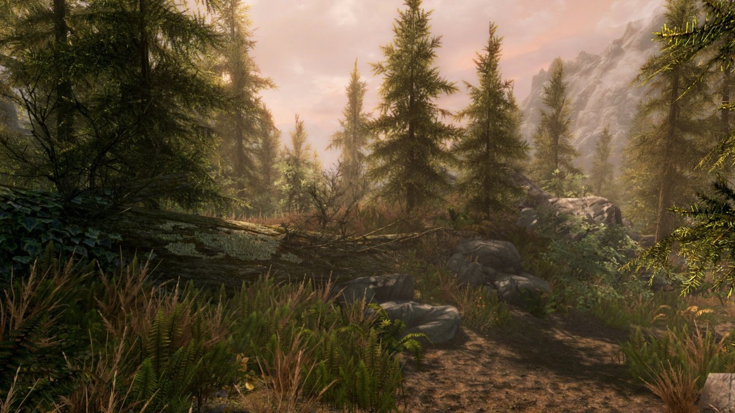 The Elder Scrolls V: Skyrim Special Edition for PS4 image