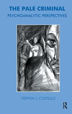 The Pale Criminal by Stephen J. Costello image