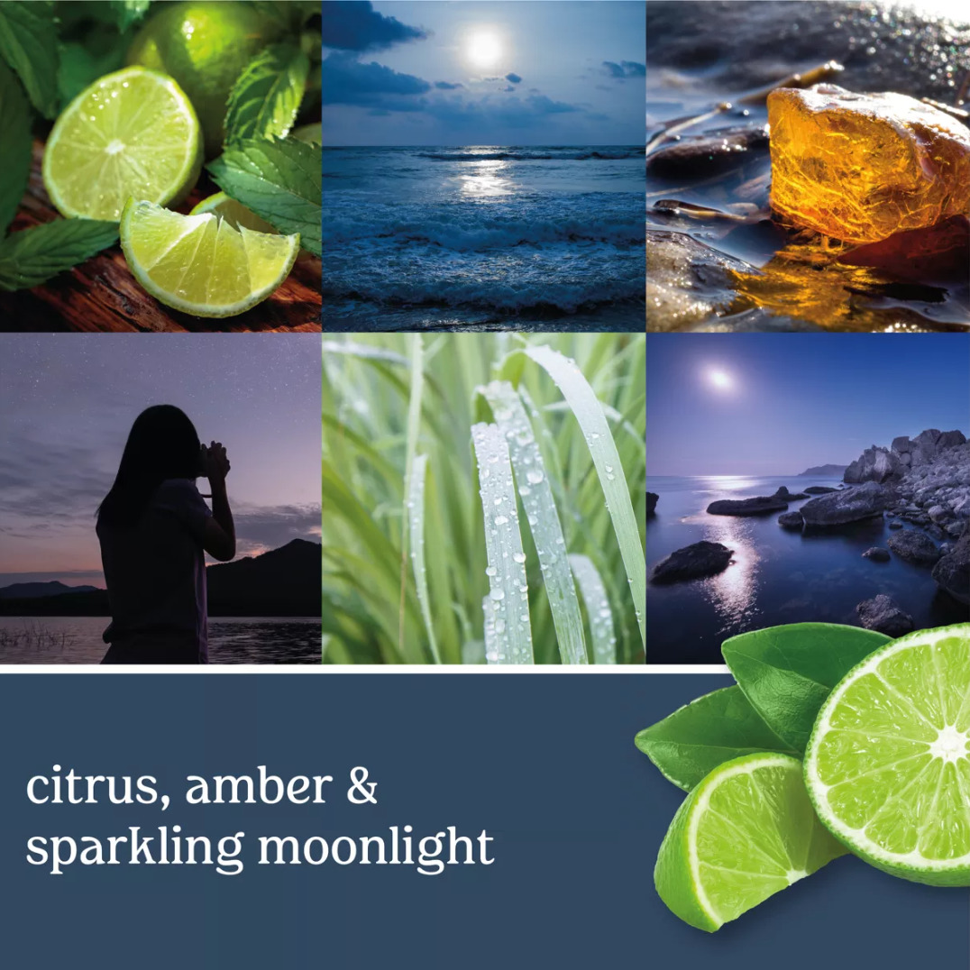 Yankee Candles Classic Large Jar Moonlit Cove (623g) at Mighty Ape NZ