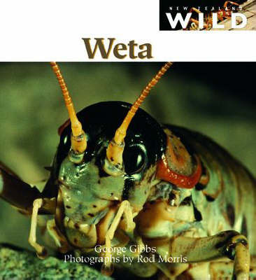 Weta by George Gibbs image