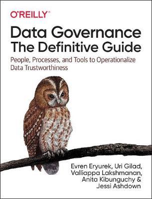Data Governance: The Definitive Guide by Evren Eryurek image