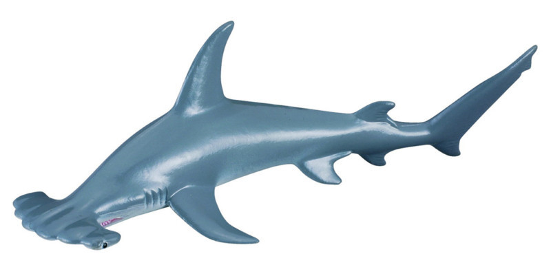 CollectA - Hammerhead Shark image