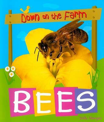 Bees by Sally Morgan image