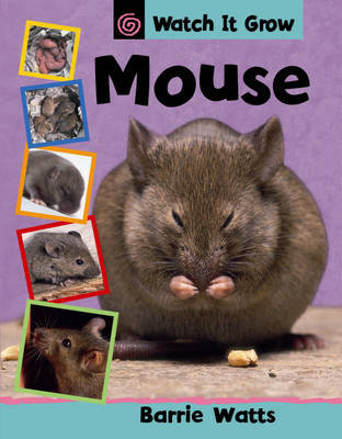 Mouse by Barrie Watts image