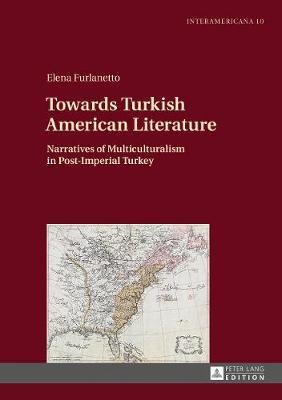 Towards Turkish American Literature by Elena Furlanetto image