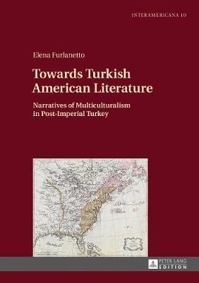 Towards Turkish American Literature on Hardback by Elena Furlanetto