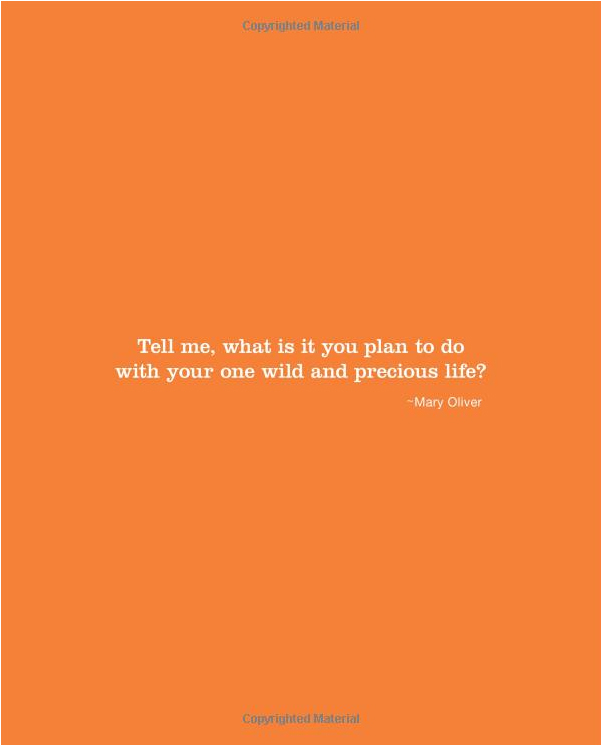 One: How Many People Does It Take to Make a Difference? by Dan Zadra image