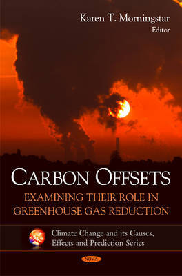 Carbon Offsets image