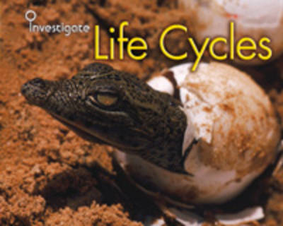 Life Cycles by Sue Barraclough image