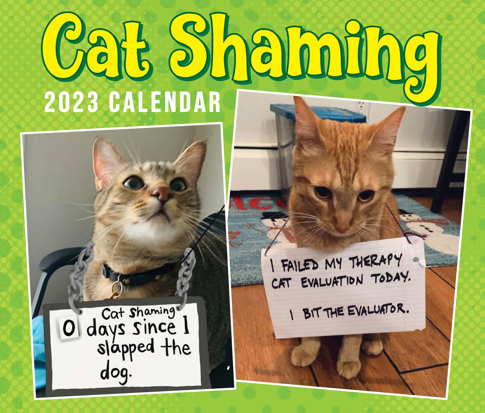Buy Cat Shaming 2023 DayToDay Calendar at Mighty Ape NZ