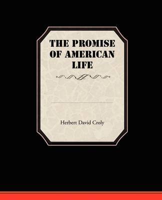 Promise of American Life image