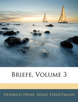Briefe, Volume 3 by Heinrich Heine image