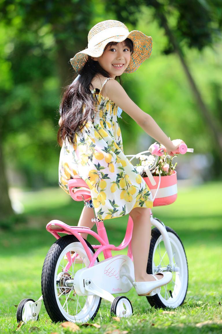 RoyalBaby: Little Swan RB-18 - 14" Bike (Pink) image