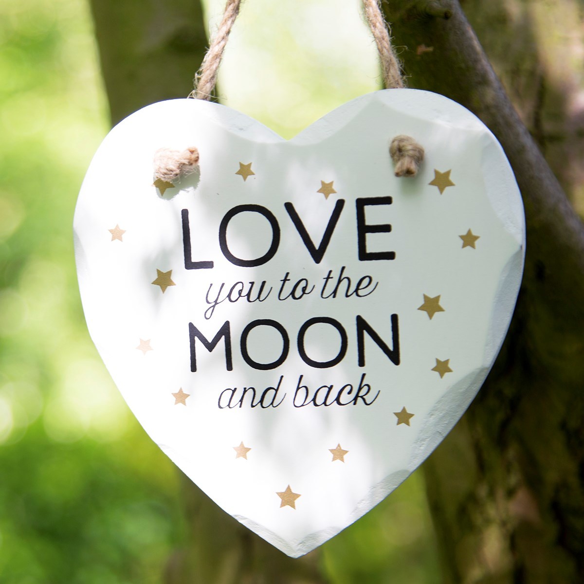 Sass & Belle: Heart-Shaped Plaque - Love You To The Moon