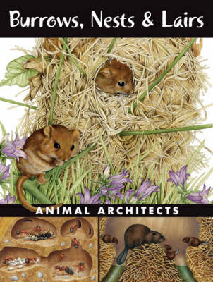 Burrows, Nests and Lairs: Animal Architects on Hardback by Ada Spada