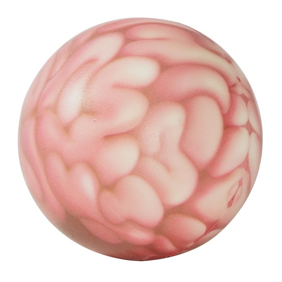 IS Gift: Brain Squeeze Stress Ball