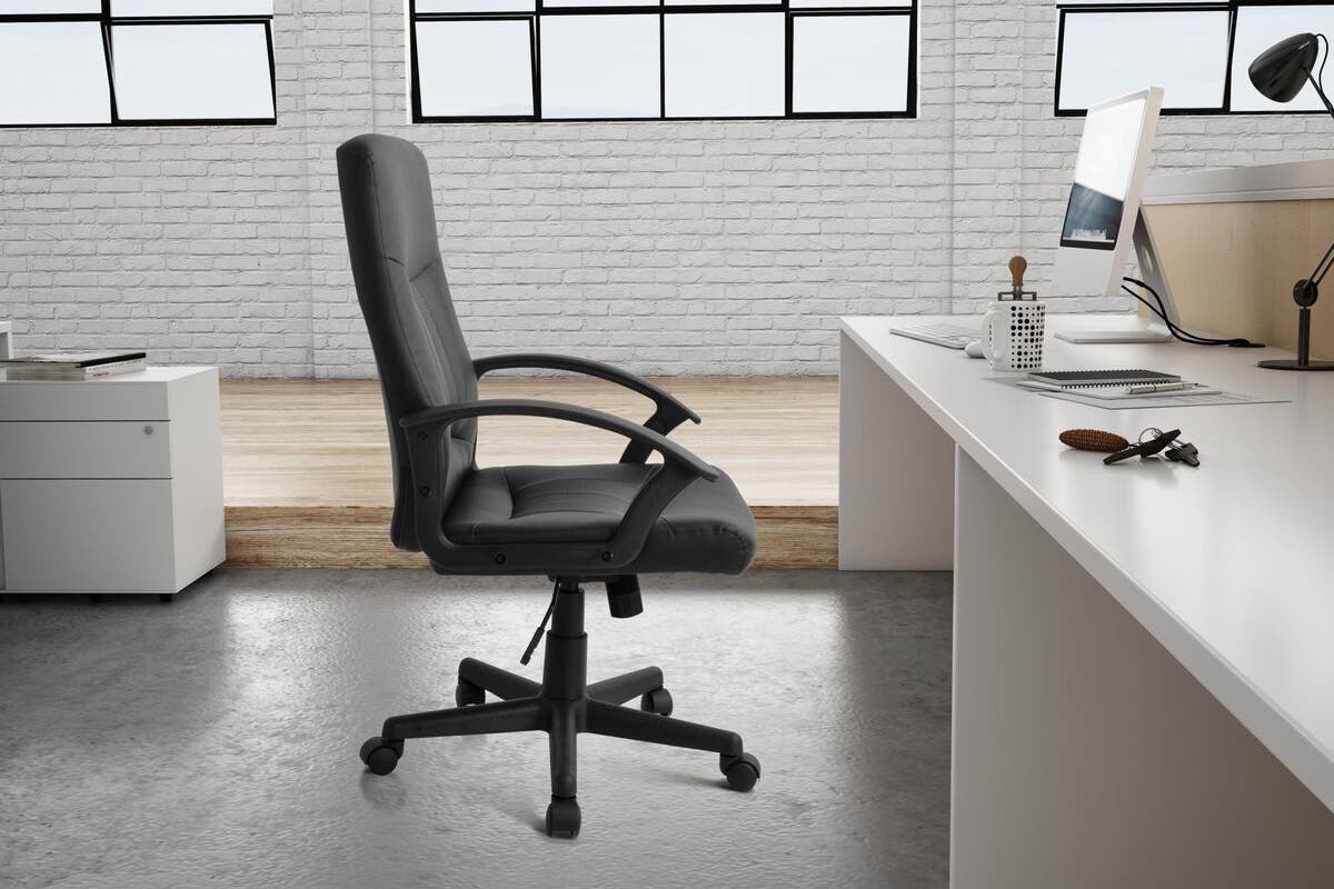 Buy Ergolux Princeton High Back Padded Office Chair at Mighty Ape NZ