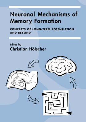 Neuronal Mechanisms of Memory Formation image