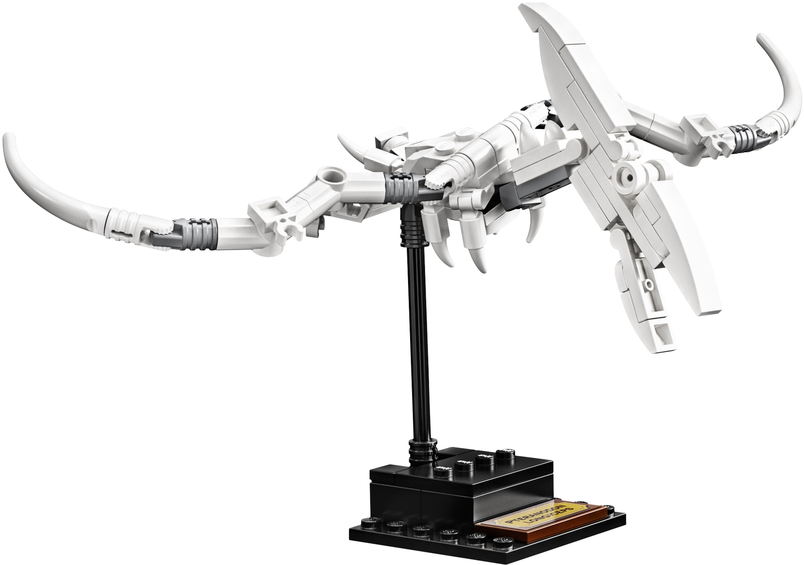 LEGO Ideas: Dinosaur Fossils (21320) image