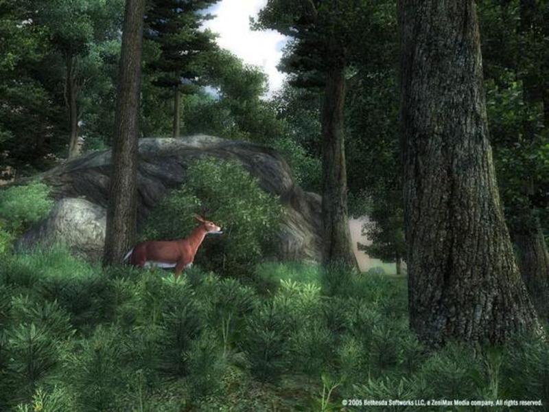 The Elder Scrolls IV: Oblivion Collector's Edition for Xbox 360 image