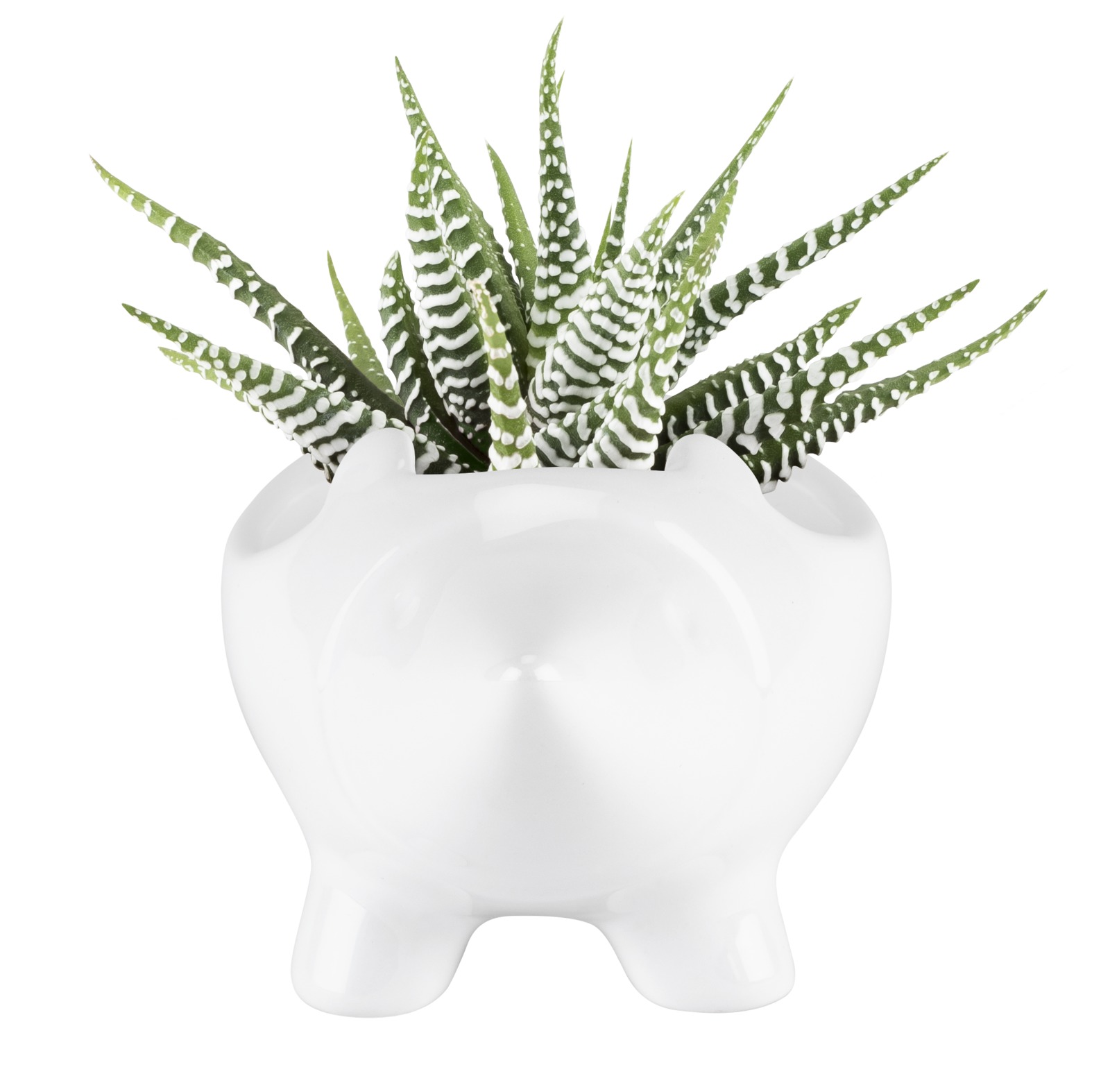 TrueZoo: Hedgehog Planter- White image