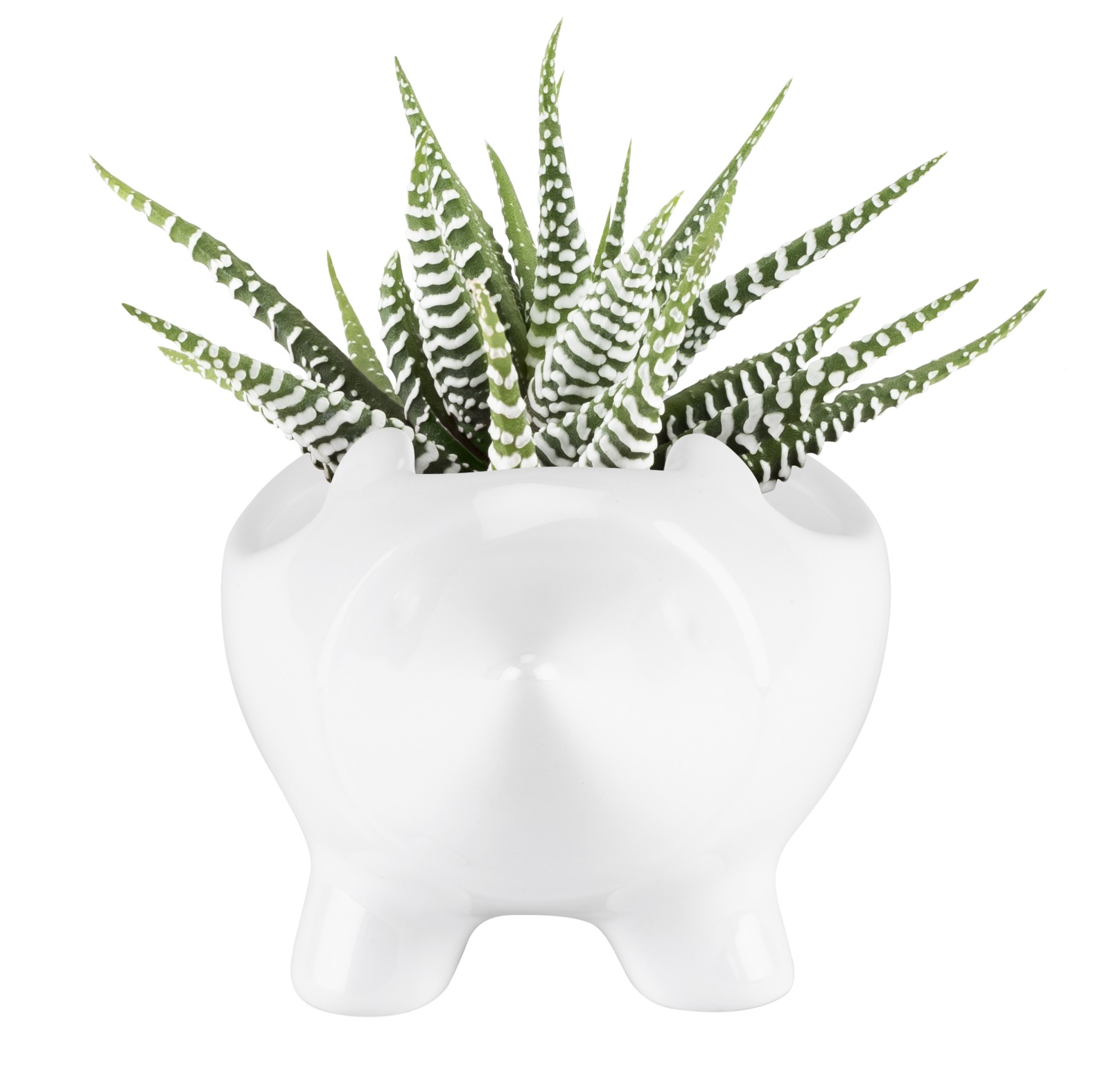 TrueZoo - Hedgehog Planter image