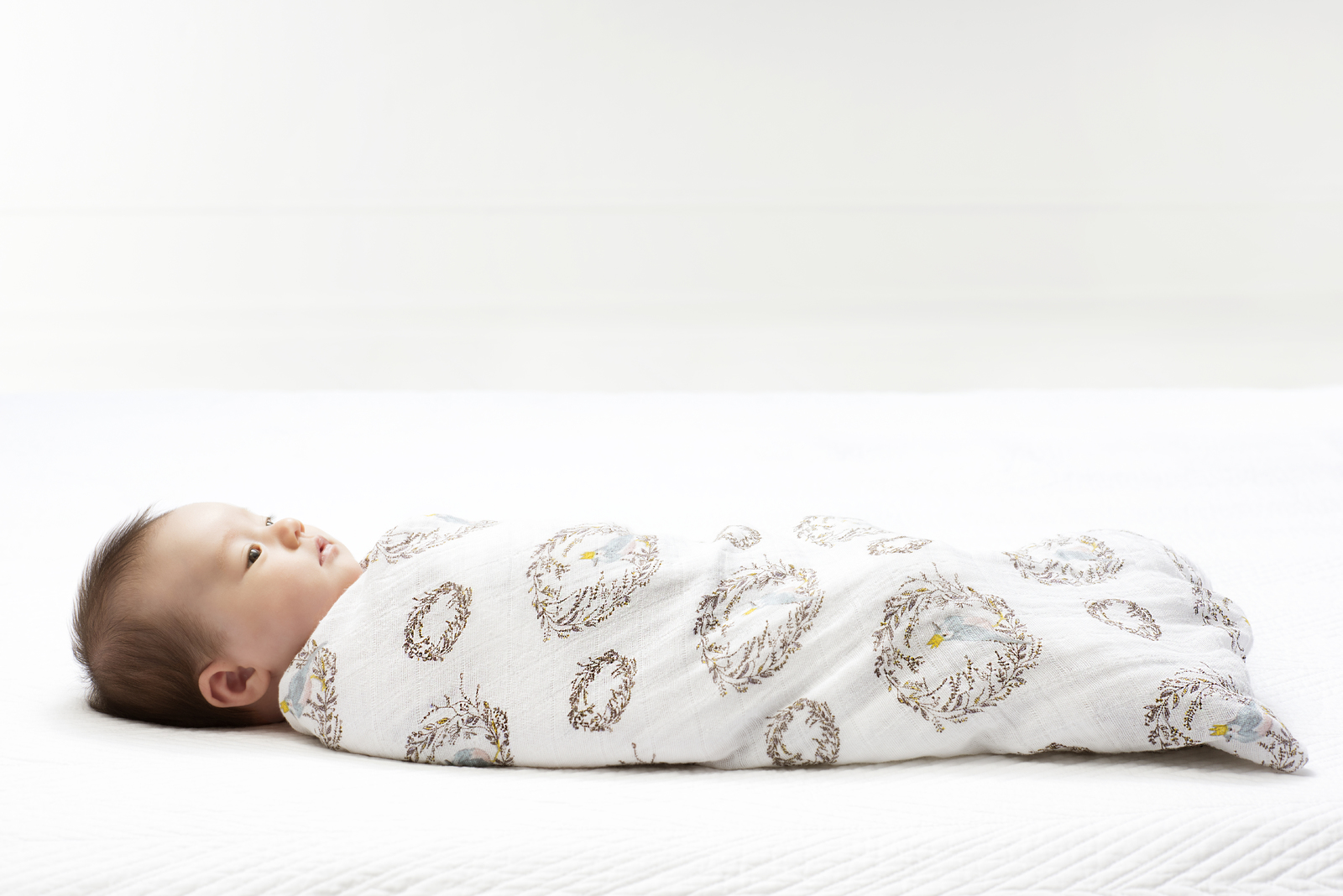 Aden + Anais: Classic Swaddle - Birdsong (4 Pack Swaddling Wraps) image