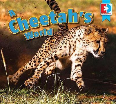 A Cheetah's World by Katie Gillespie image