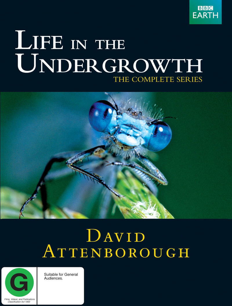 Life in the Undergrowth - The Complete Series on DVD image